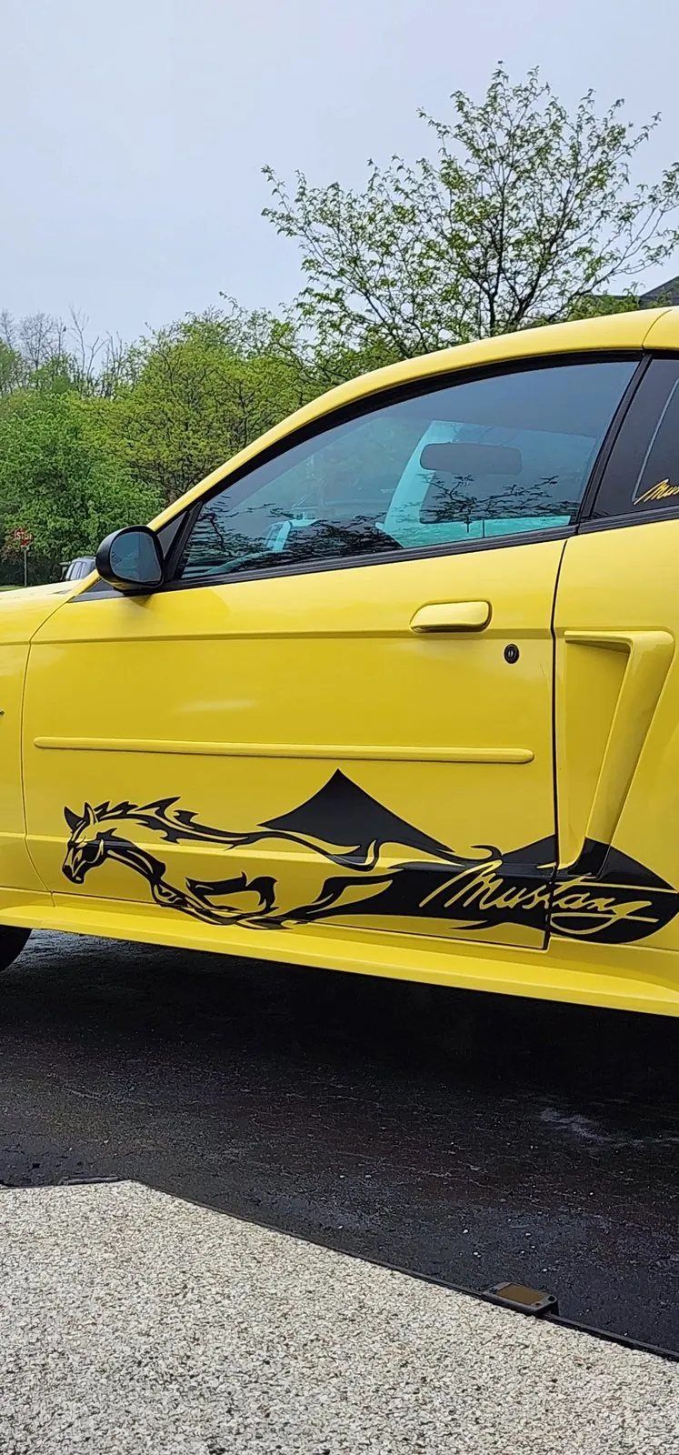Running horse decal on the front quarter of a yellow Mustang